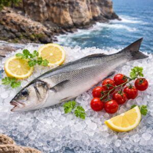 Bar de ligne (Loup de mer) – Robalo – Dicentrarchus labrax