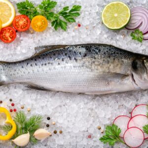 Bar Tacheté (Moucheté) - Robalo baila -Dicentrarchus punctatus