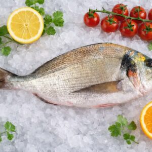 Daurade Royale Sauvage de Ligne & Trémail – Dourada – Sparus aurata