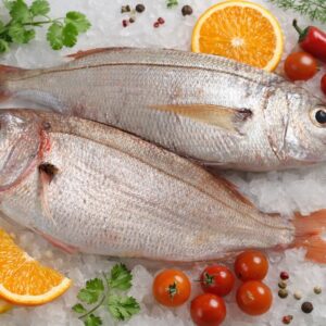 Pageot acarne (Dorade acarne) – Besugo – Pagellus acarne