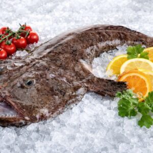 Lotte (Baudroie) extra-fraîche – Tamboril de Nazaré – Lophius spp.