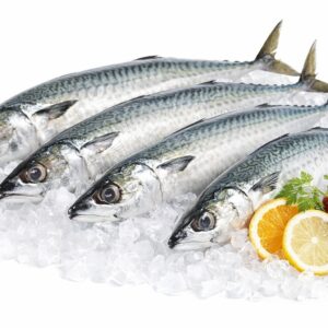 Maquereau sauvage de Nazaré – Cavala – Scomber colias