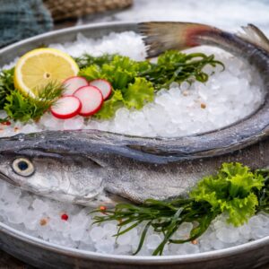 Merlu (Colin) de ligne — Pescada — Merluccius merluccius