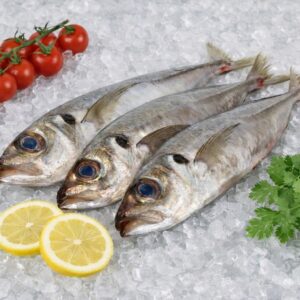 Chinchard – Carapau (Jaquinzinho, Chicharro) – Trachurus trachurus