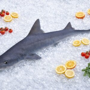 Émissole lisse sans arêtes – Cação liso – Mustelus mustelus