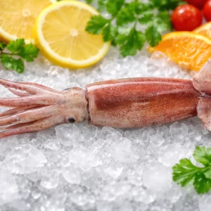 Encornets rouges nordiques (Pota do Norte) frais, issus de la petite pêche artisanale, présentés entiers sur un étal