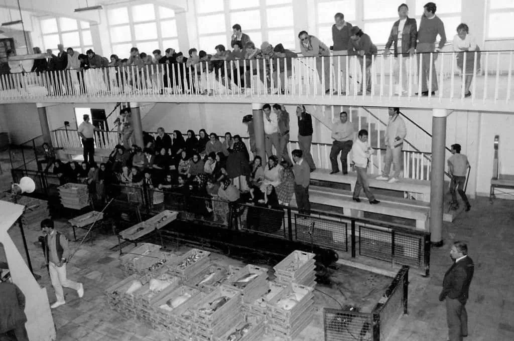 Ancienne criée de Nazaré dans les années 1950 avec vente traditionnelle du poisson avant la criée moderne du port.