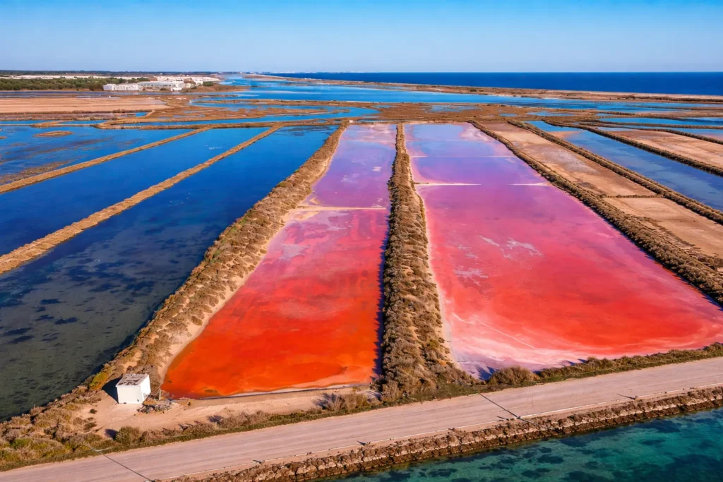 Comparaison visuelle entre la fleur de sel de Tavira humide et grise et le sel blanc industriel sec et chimique.