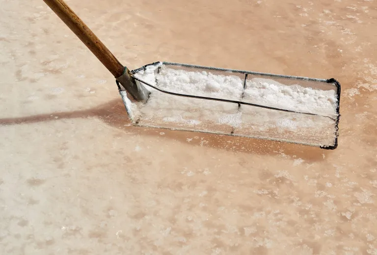 Gros plan en vue plongée sur la cueillette délicate de la fleur de sel à la surface d'un bassin aux teintes rosées dans les salines Necton. Une lousse artisanale à filet fin, maniée avec précision par un paludier, saunier ou marnoto, récolte les délicats cristaux de fleur de sel flottant à la surface de l'eau en Algarve.