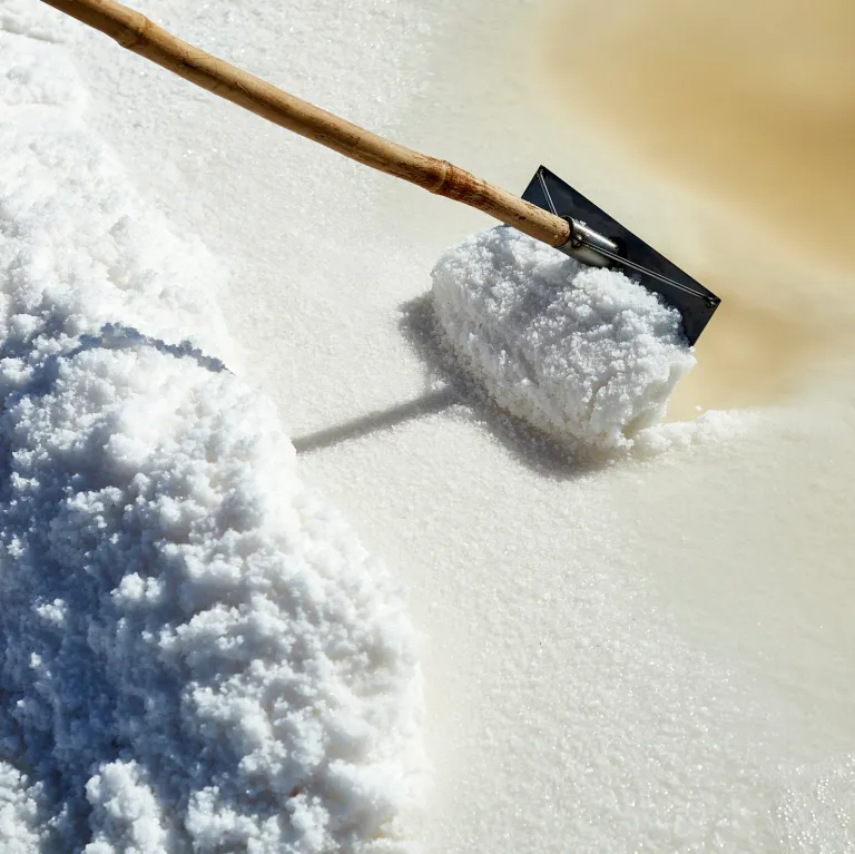 Gros plan en contre-plongée sur la récolte artisanale du gros sel marin dans un œillet des salines Necton. Un outil traditionnel en bois (rodo) tiré par un paludier, saunier ou marnoto assemble une importante quantité de cristaux de sel blanc pur au bord du bassin de cristallisation de la Ria Formosa en Algarve.