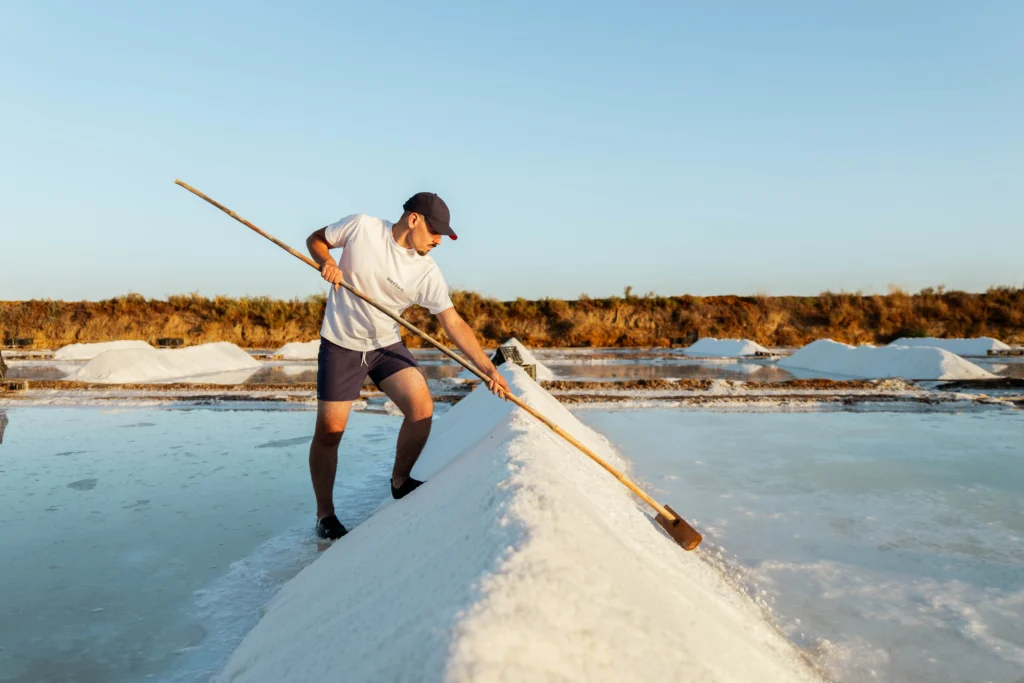 Vue d'un marnoto (saunier traditionnel portugais) en train de travailler dans les salines Necton au Portugal. Il est debout à côté d'un grand tas de sel blanc et utilise un long râteau en bois traditionnel pour récolter et former les tas de sel au milieu des bassins sous un ciel bleu clair.