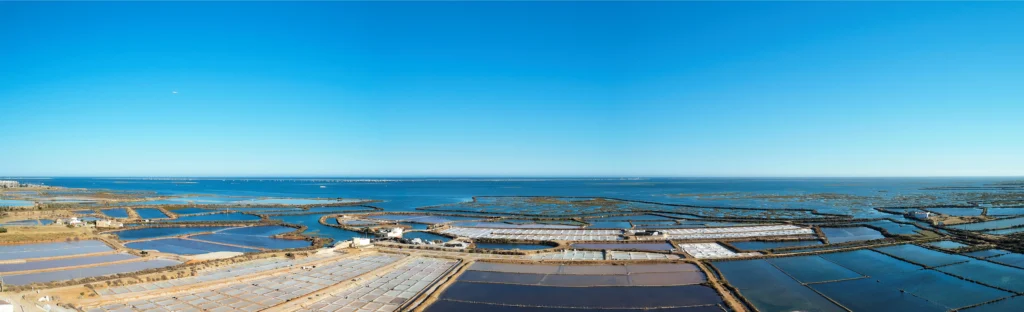 Large vue aérienne panoramique au drone montrant l'immensité des marais salants Necton dans le parc naturel de la Ria Formosa, avec un alignement géométrique de bassins aux teintes variées s'étendant jusqu'à la ligne d'horizon et l'océan sous un ciel bleu.