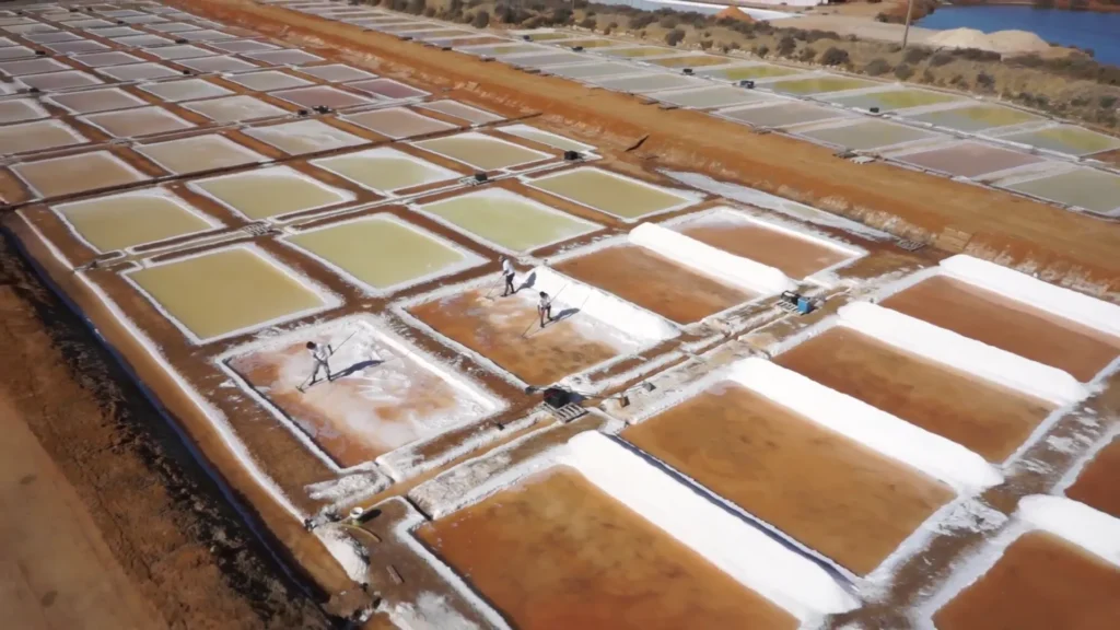 Vue aérienne en plongée montrant le travail traditionnel des paludiers récoltant le sel marin à la main avec leurs outils traditionnels dans les bassins de cristallisation de la saline Necton en Algarve.