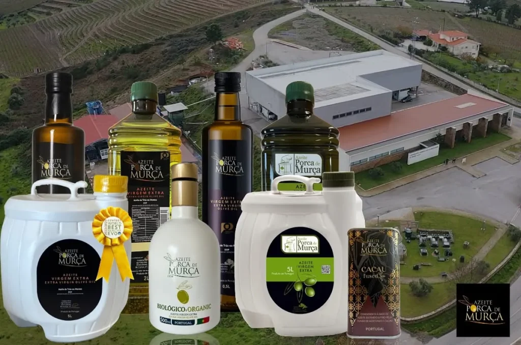 porca-de-murca-producteur-huile-olive-extra-vierge-usine
