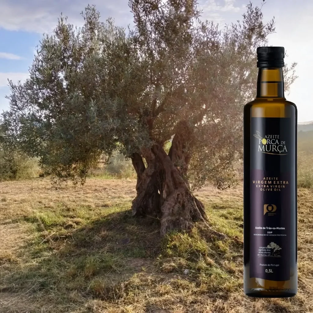 Bouteille de 0,5 L d'huile d'olive extra vierge Porca de Murça DOP Trás-os-Montes présentée au premier plan devant un olivier centenaire du terroir de Murça.